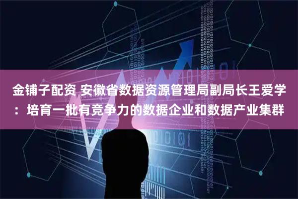 金铺子配资 安徽省数据资源管理局副局长王爱学：培育一批有竞争力的数据企业和数据产业集群
