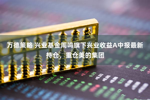 万德策略 兴业基金周鸣旗下兴业收益A中报最新持仓，重仓美的集团