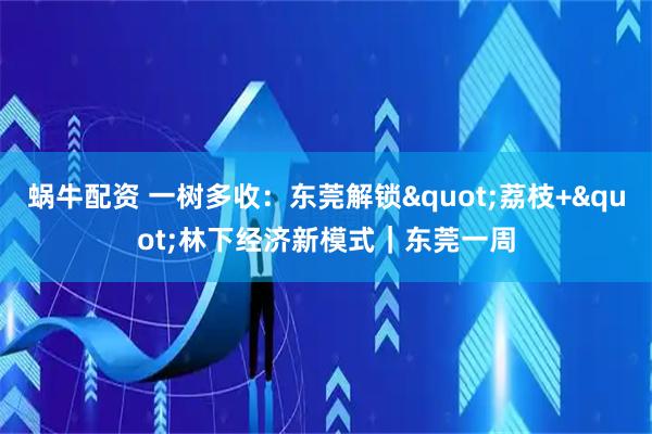 蜗牛配资 一树多收：东莞解锁"荔枝+"林下经济新模式｜东莞一周