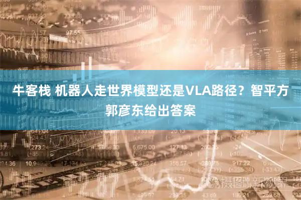 牛客栈 机器人走世界模型还是VLA路径？智平方郭彦东给出答案