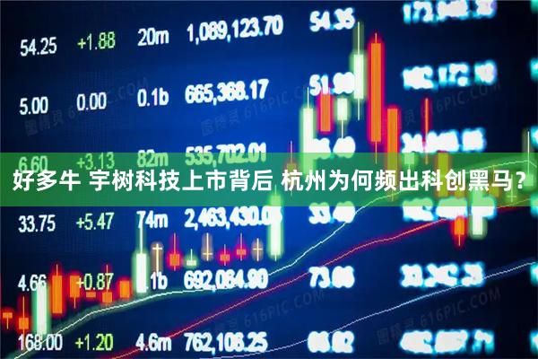 好多牛 宇树科技上市背后 杭州为何频出科创黑马？